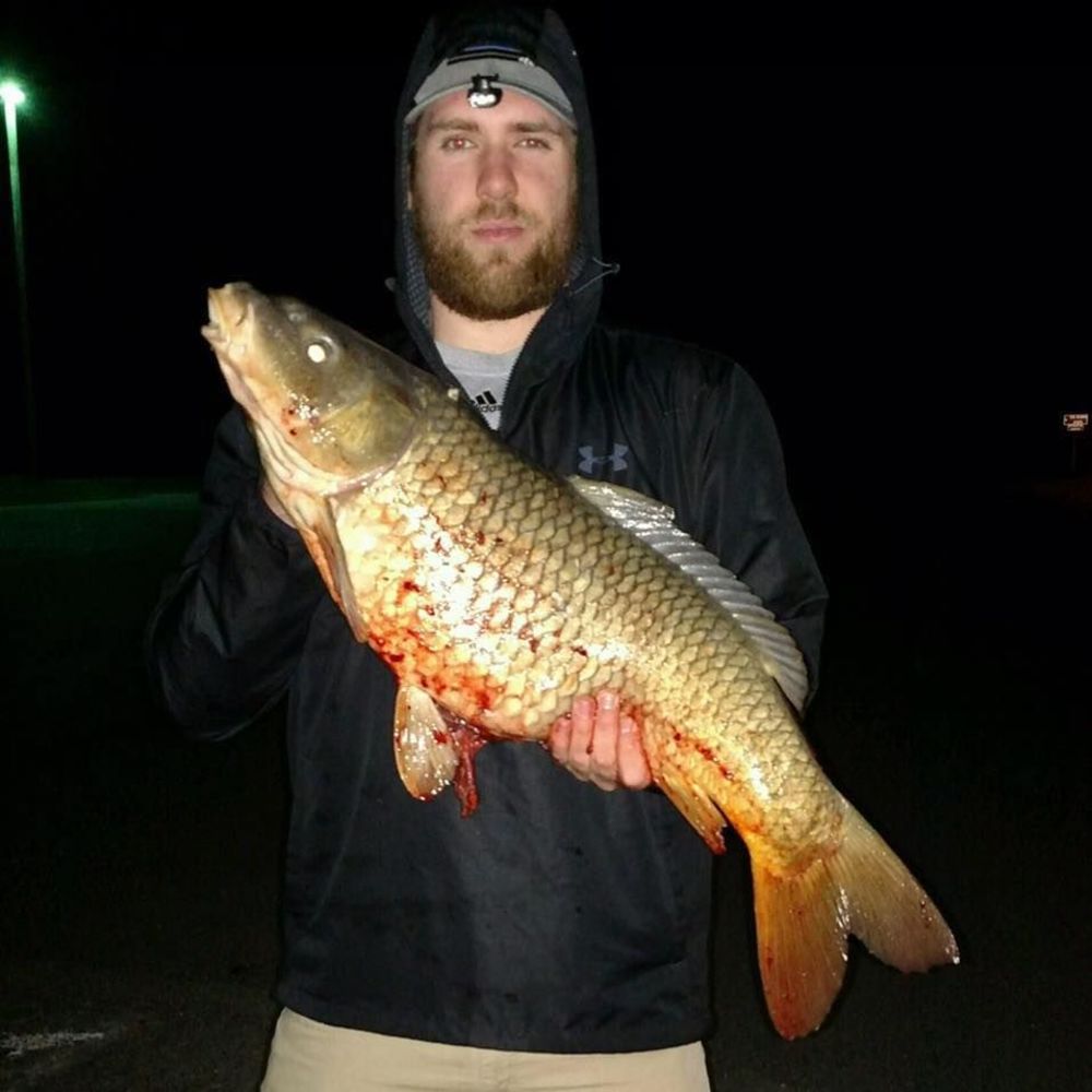 Meet your Posher, Carter